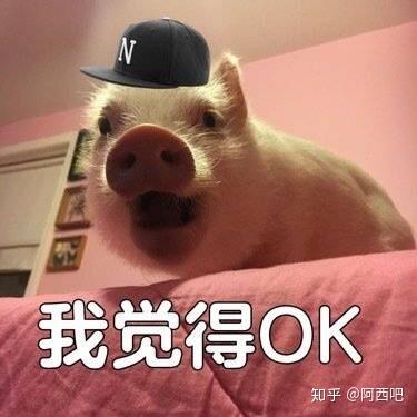 狗咬你一口你总不会去咬它一口吧