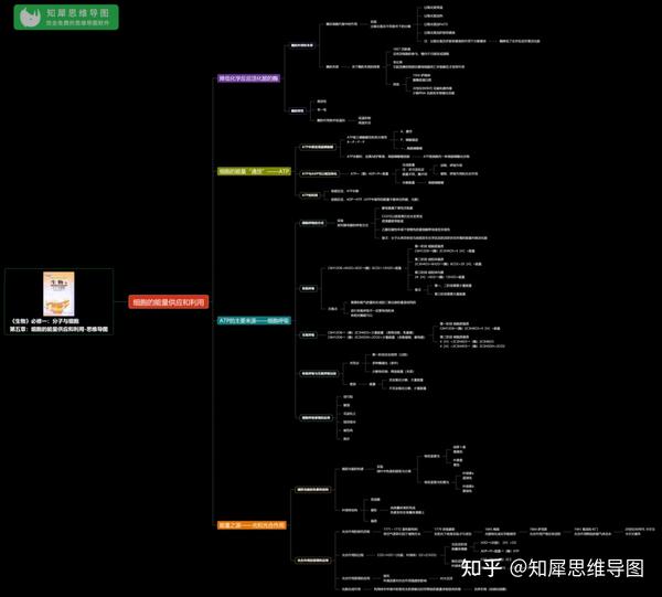 生物必修一第五章思维导图-生物知识框架图