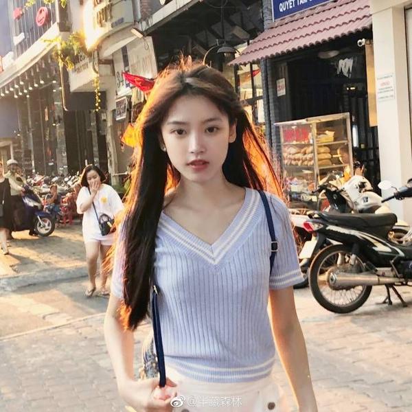 半藏森林