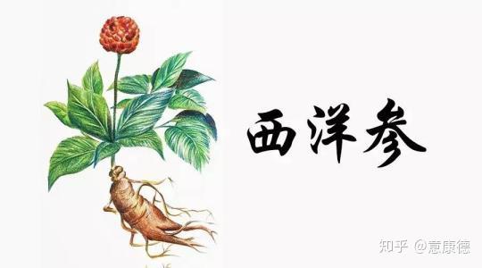 西洋参片粉一般多少钱一斤西洋参价格差异影响因素