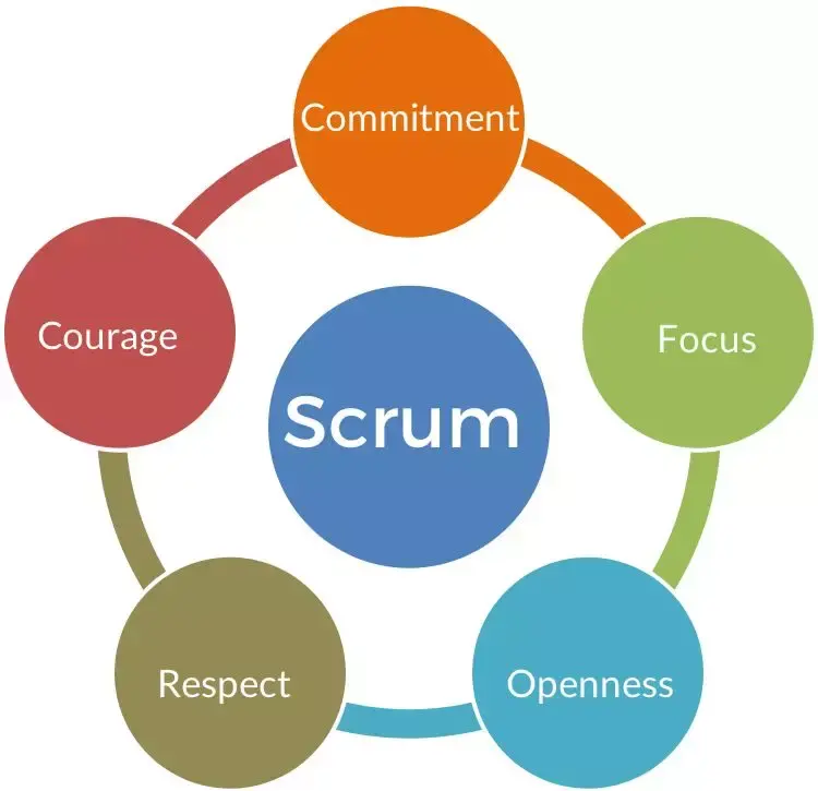 团队还需要scrummaster吗在团队成熟之后转