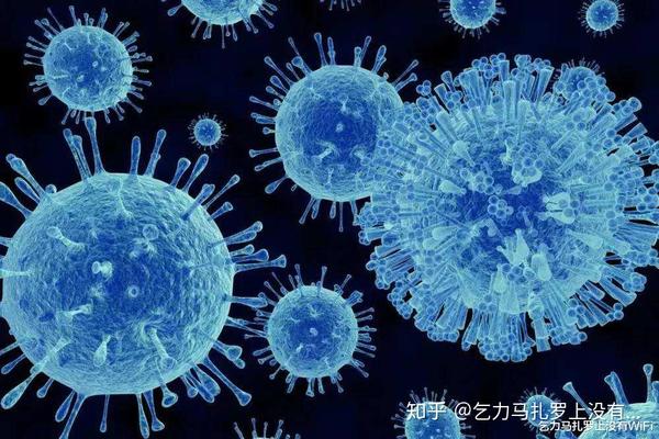 随后才将其命名为"病毒" 它比细菌还要小至少1000倍,直径只有10-300
