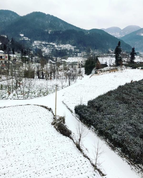 下雪天可以做哪些有趣的事或雪景?