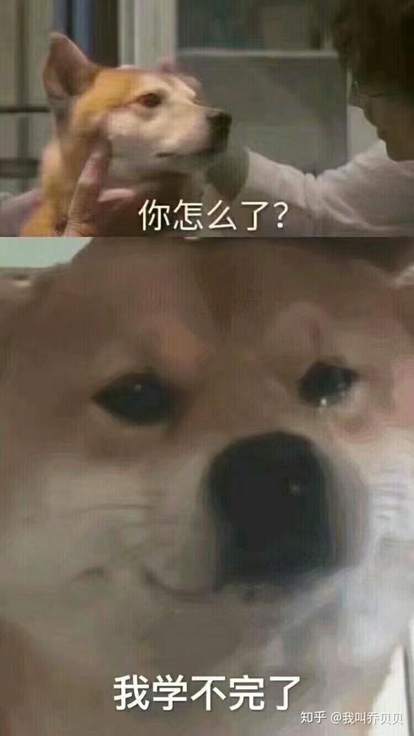 有哪些爱不释手的沙雕表情包?