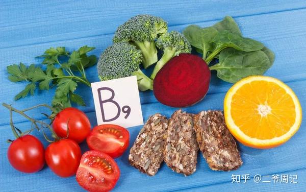 维生素b9(叶酸)