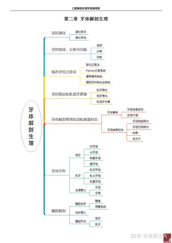 口腔解剖生理学思维导图