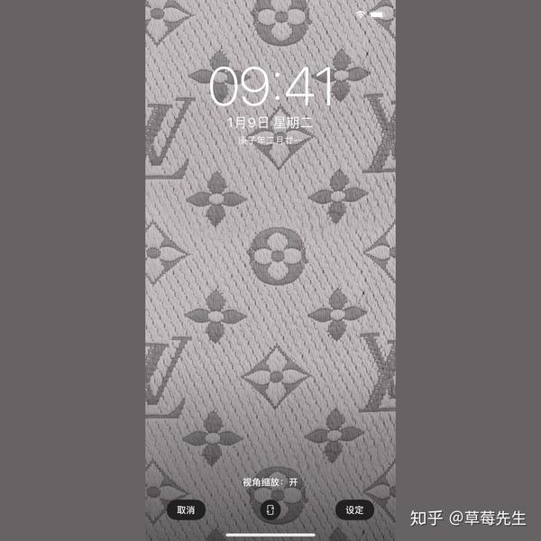 壁纸lv|