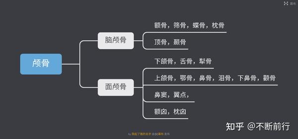 人解骨和骨连结思维导图