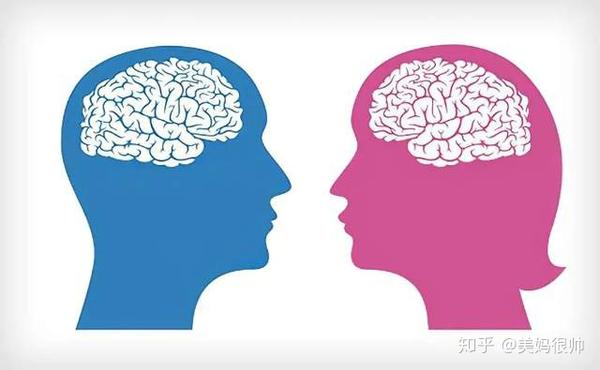 男女大脑天生大不同4大差异很明显教养孩子真要男女有别