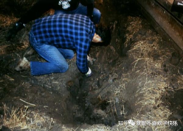 天网恢恢 | 史上最老死刑犯夫妇