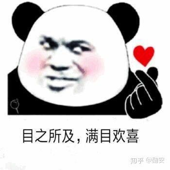 你手机里最搞笑的表情包是哪个?