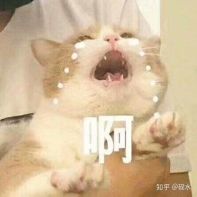 得不到的才叫白月光结局