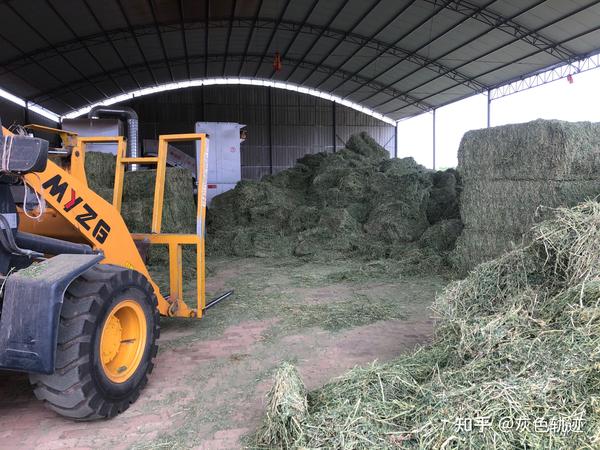 第二次躲雨的牧草加工厂