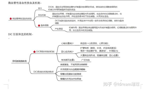 病理生理学期末名词解释大题思维导图归纳