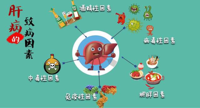 胡远忠——肝病到底是如何传播?生活如何预防肝病?
