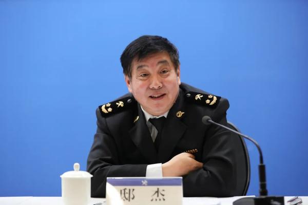 海关总署关税征管司副司长  邸杰   高立强/摄