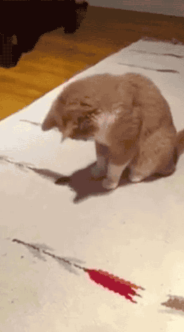 大家手机里有哪些搞笑动图,分享一下?