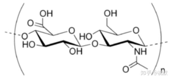 透明质酸的基本分子式