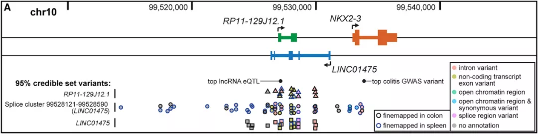 转录组学图谱揭示lncrna与人类疾病的关联