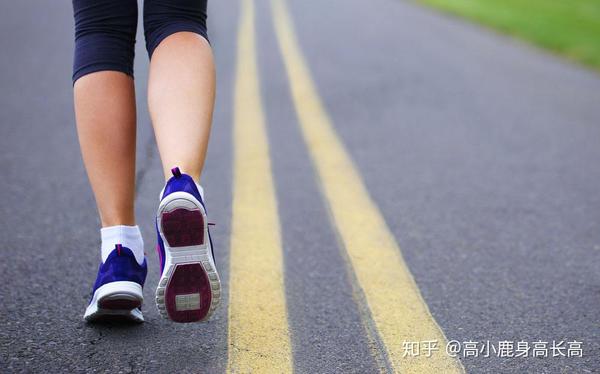身高与脚长的比例应该是多少?