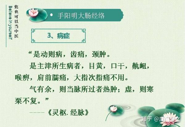 手阳明大肠经十二经络讲稿9