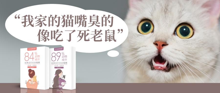 我家的猫嘴臭的像吃了死老鼠