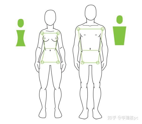 山东经纬技工学校专业知识分享人体绘画教程人体解剖学基础之高级身体