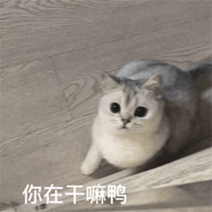 戴口罩表情包戴了吗求求你出门戴口罩