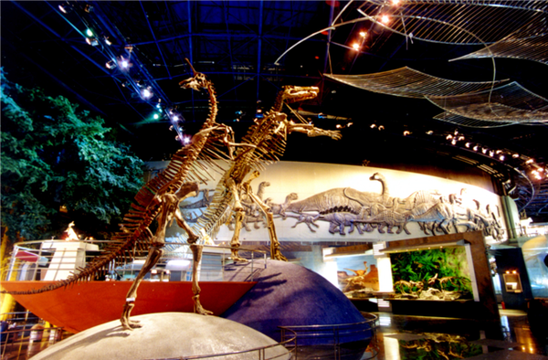 东方侏罗纪,神秘恐龙家园,全球最大的恐龙主题公园,好玩是关键