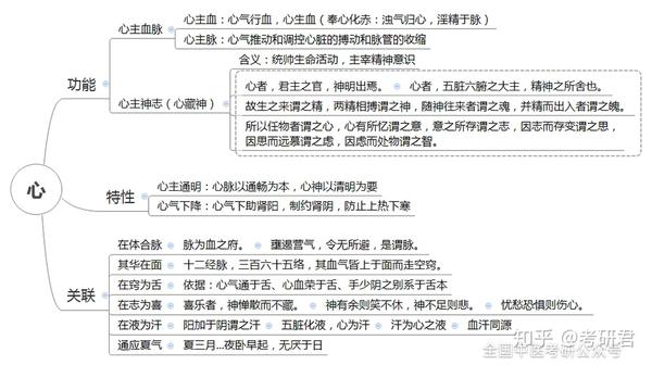 【中医考研】20张超全思维导图,让你吃透脏腑知识重难