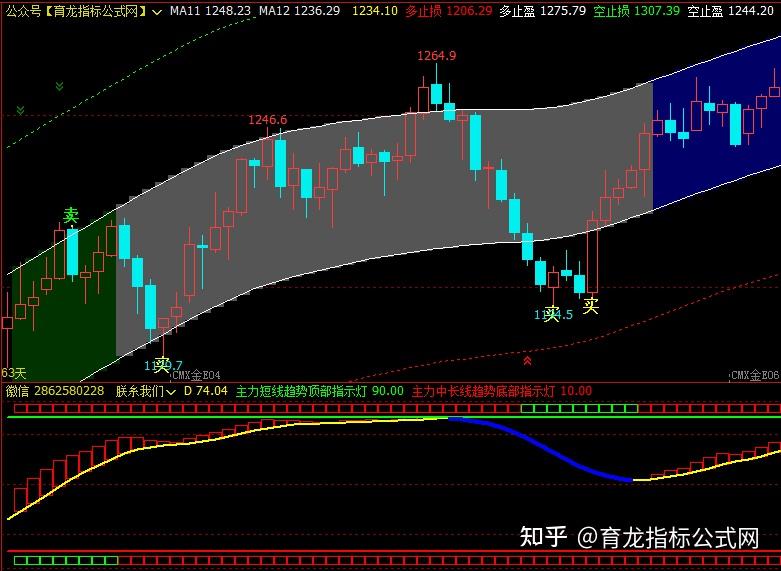 期货多空提示软件文华财经指标公式