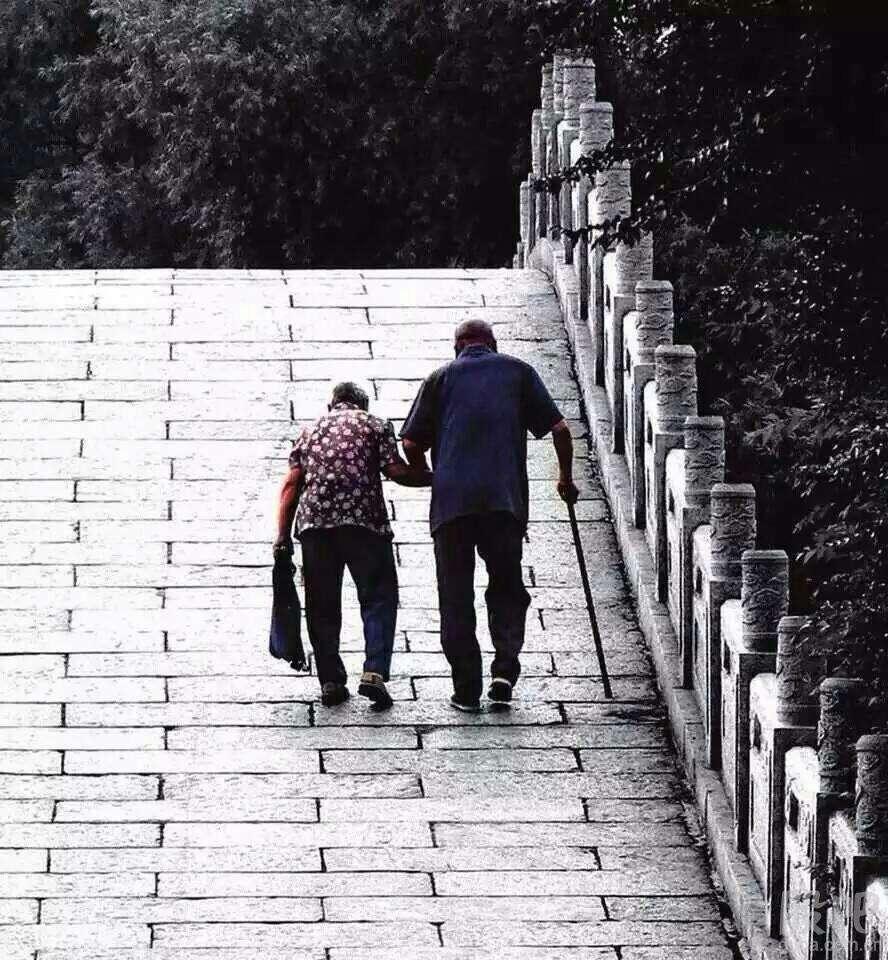 父母,儿女一生的牵挂