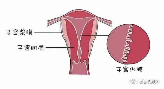 子宫腺肌症严不严重对怀孕影响大吗