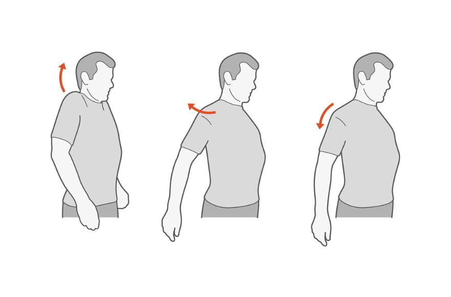 耸肩练习的具体训练方法是先找到上斜方肌的发力感,往上提肩,在最高