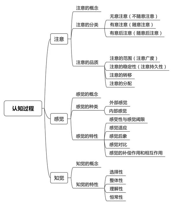 第五章 中学生发展心理 第一节 中学生的认知发展