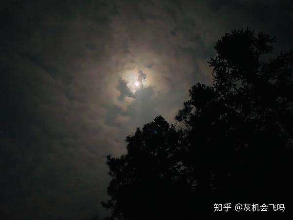 "每当我找不到存在的意义,每当我迷失在黑夜里,夜空中最亮的星,请指引