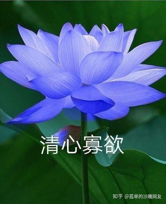 「qq网名里带馨的」女生qq昵称带馨字的四个字