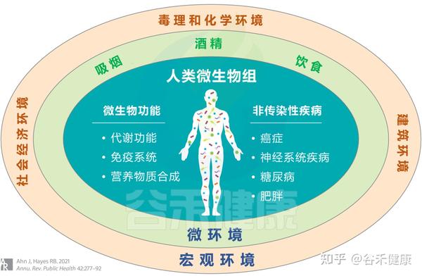 环境对人类微生物组及其对非传染性疾病的影响