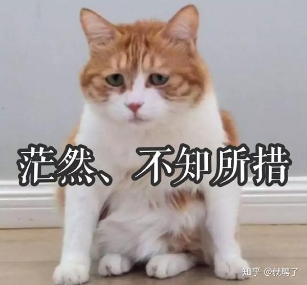 第一次找工作有点慌不知所措一脸懵逼职业规划是什么?该怎么回答?