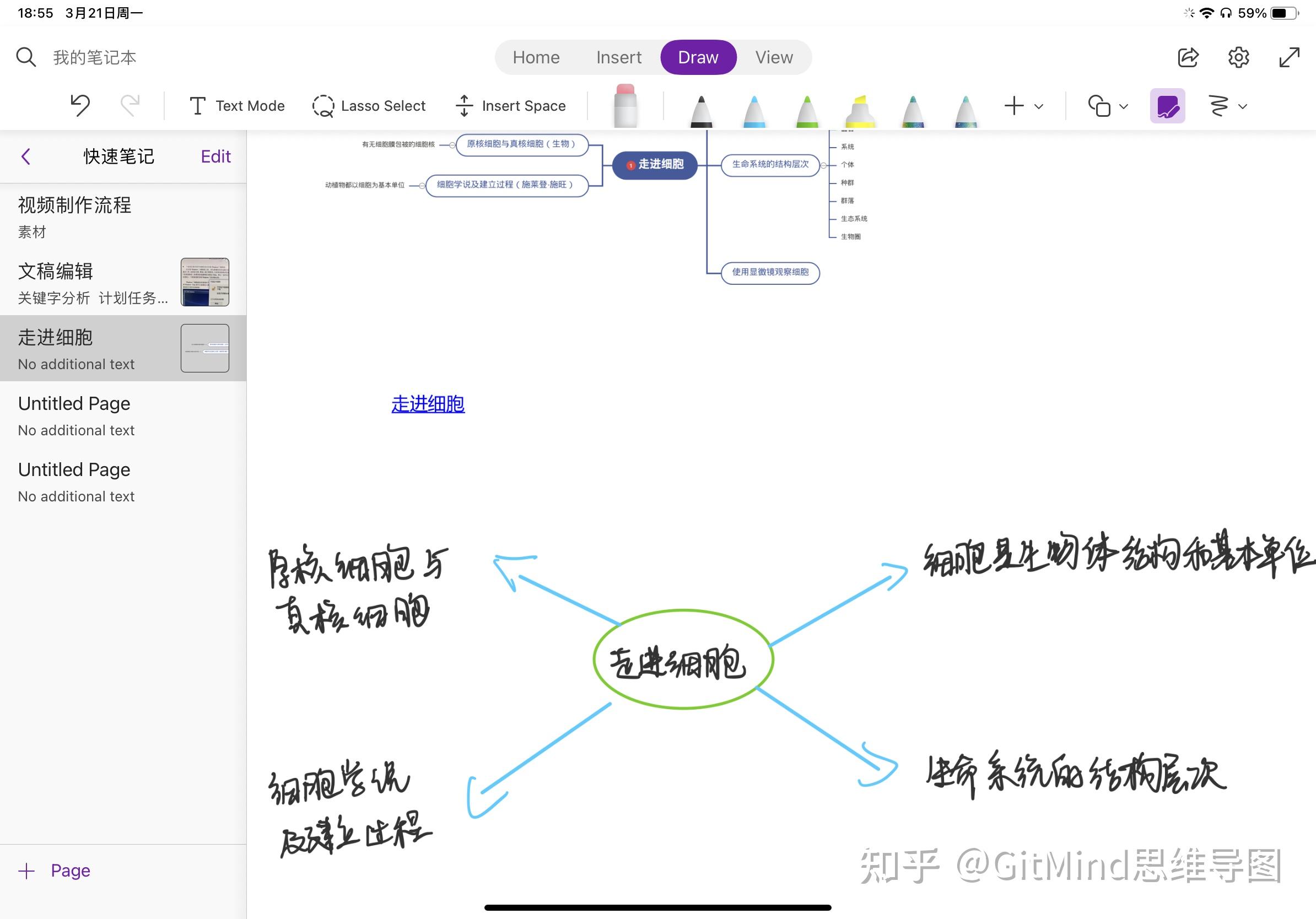 如何用onenote做思维导图