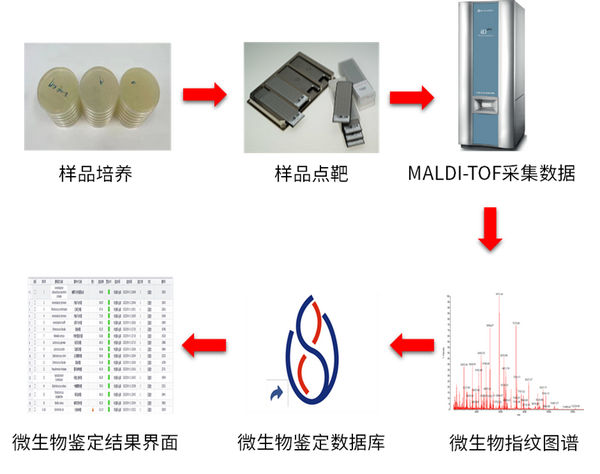 岛津产品系列MALDI TOF食品微生物快速鉴定 知乎