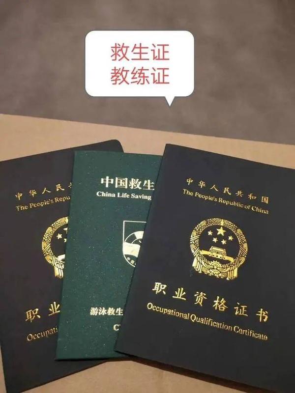 想成为一名合格游泳教练,必备这些技能!