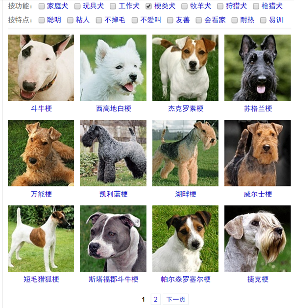 电影【犬之岛】里面的狗狗大概都是哪些品种呢?