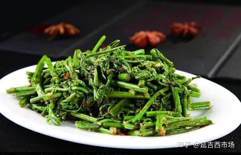 山菜之王—蕨菜 延边野山菜保驾护航 水芹菜 小根蒜 马蹄叶 沙参