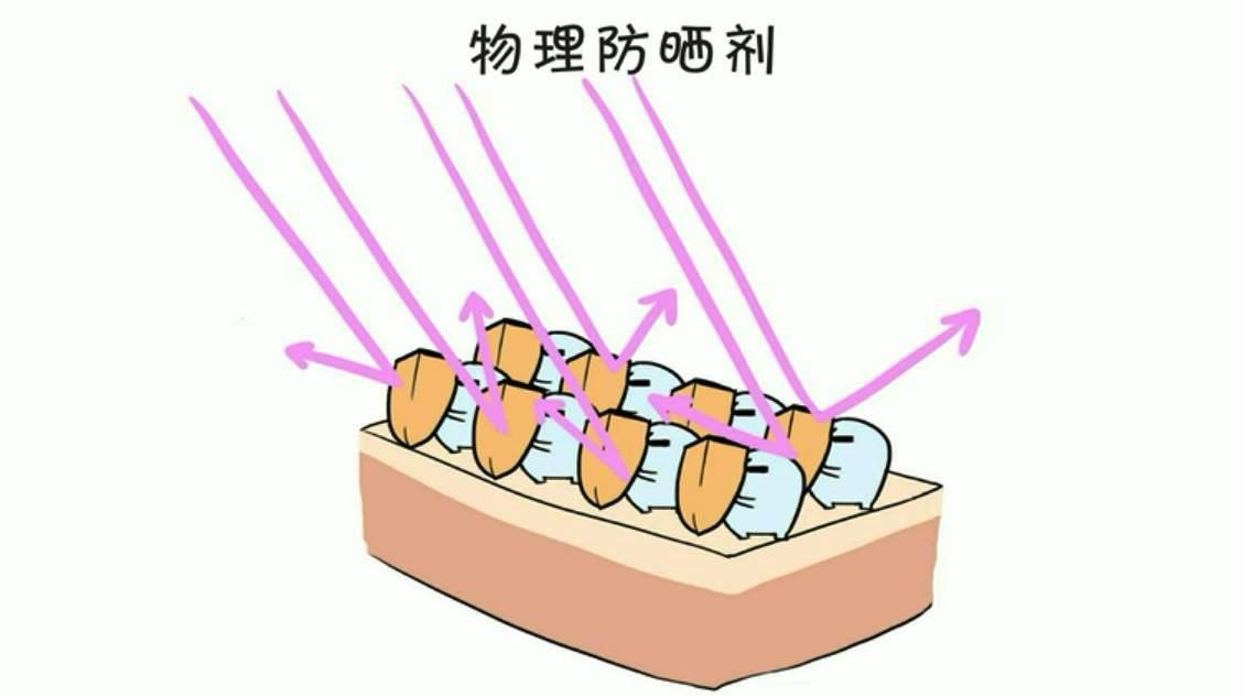 【四】物理防晒vs化学防晒