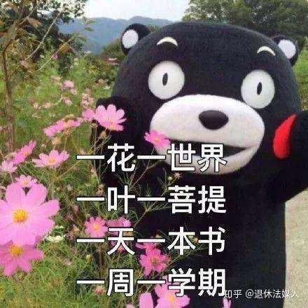 有哪些关于考研的表情包?