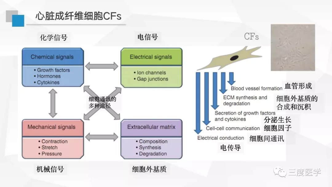 CCOC 2019课件分享 放射性心脏病RIHD的临床与基础研究 知乎