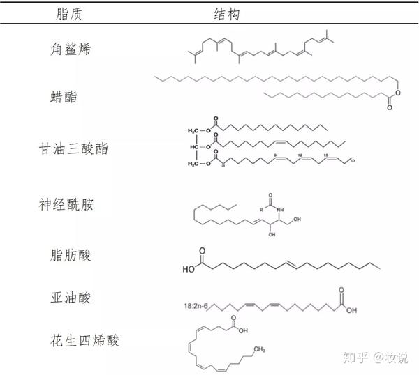 一,皮肤脂质的来源和组成 表1 典型皮肤脂质的结构