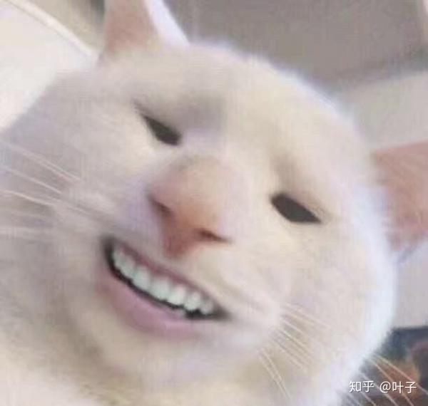 有可以一个人用的沙雕头像吗?