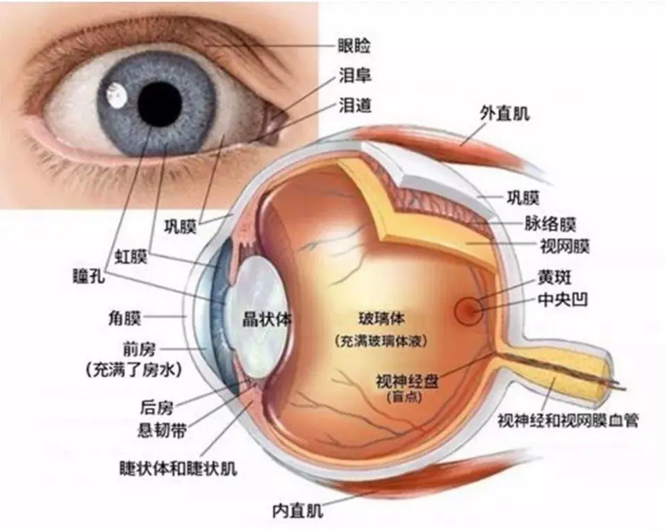 二次元角色卡通渲染眼睛篇